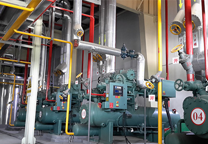 2013年山東壽光蔬菜產(chǎn)業(yè)集團速凍冷藏食品加工綜合工廠冷凍系統(tǒng)項目